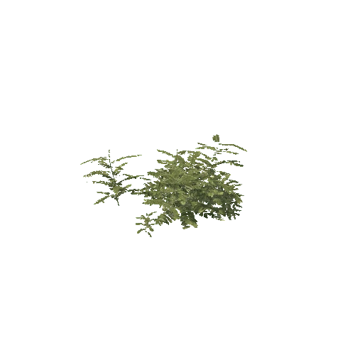 Plant 76_LOD_1